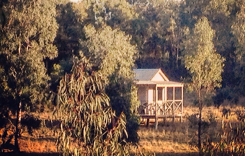 Wings - Cabin
