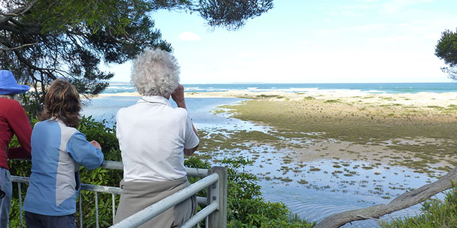 Gipps - Mallacoota birdwatching_153